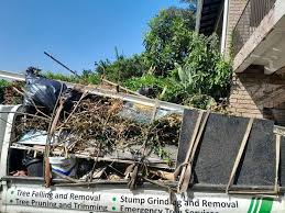 Best Demolition Debris Removal  in Montgomery, GA